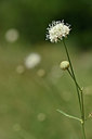 BUITEN BEELD Foto: 346639