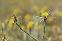 BUITEN BEELD Foto: 346644