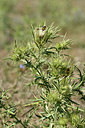 BUITEN BEELD Foto: 346648