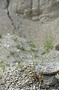 BUITEN BEELD Foto: 346662
