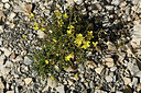 BUITEN BEELD Foto: 346665