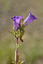 BUITEN BEELD Foto: 346668