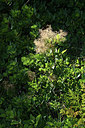 BUITEN BEELD Foto: 346669