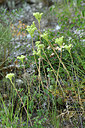 BUITEN BEELD Foto: 346671