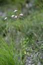 BUITEN BEELD Foto: 346678