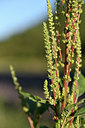 BUITEN BEELD Foto: 346683