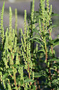 BUITEN BEELD Foto: 346688