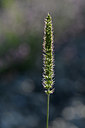 BUITEN BEELD Foto: 346692
