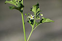 BUITEN BEELD Foto: 346700