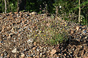 BUITEN BEELD Foto: 346704