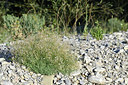 BUITEN BEELD Foto: 346706