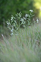 BUITEN BEELD Foto: 346714