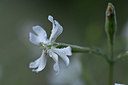 BUITEN BEELD Foto: 346719