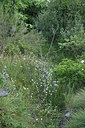 BUITEN BEELD Foto: 346721