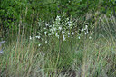 BUITEN BEELD Foto: 346722