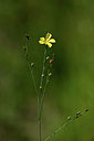 BUITEN BEELD Foto: 346736