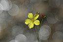 BUITEN BEELD Foto: 346741
