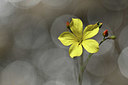 BUITEN BEELD Foto: 346742