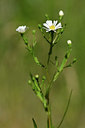 BUITEN BEELD Foto: 346745