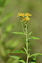 BUITEN BEELD Foto: 346754