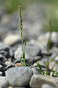BUITEN BEELD Foto: 346757