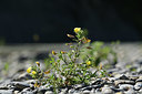 BUITEN BEELD Foto: 346761