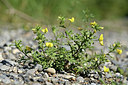 BUITEN BEELD Foto: 346764