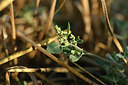 BUITEN BEELD Foto: 346773
