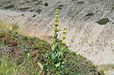 BUITEN BEELD Foto: 346781
