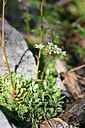 BUITEN BEELD Foto: 346804