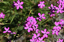 BUITEN BEELD Foto: 346809