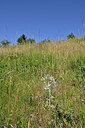BUITEN BEELD Foto: 346817