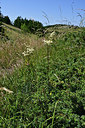 BUITEN BEELD Foto: 346819