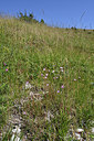 BUITEN BEELD Foto: 346820