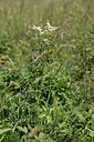 BUITEN BEELD Foto: 346826