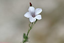 BUITEN BEELD Foto: 346840