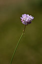 BUITEN BEELD Foto: 346849