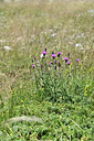BUITEN BEELD Foto: 346861