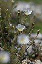 BUITEN BEELD Foto: 346866