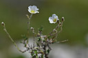 BUITEN BEELD Foto: 346867