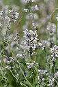 BUITEN BEELD Foto: 346870