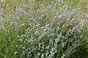 BUITEN BEELD Foto: 346888