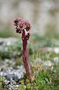 BUITEN BEELD Foto: 346889