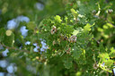 BUITEN BEELD Foto: 346901