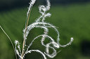BUITEN BEELD Foto: 346904