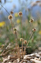 BUITEN BEELD Foto: 346935