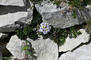 BUITEN BEELD Foto: 346960