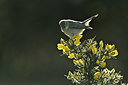 BUITEN BEELD Foto: 347015