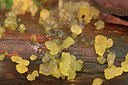 BUITEN BEELD Foto: 347016