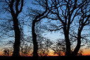 BUITEN BEELD Foto: 347107
